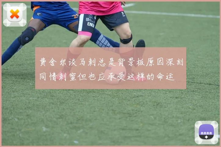 费舍尔谈马刺总是背景板原因深刻同情刺蜜但也应承受这样的命运